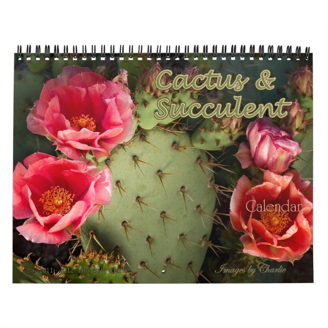 Calendrier des cactus et des fleurs succulentes 20 (Protection)