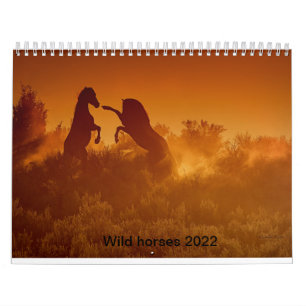 calendrier des calandres de mustang sauvage 2020