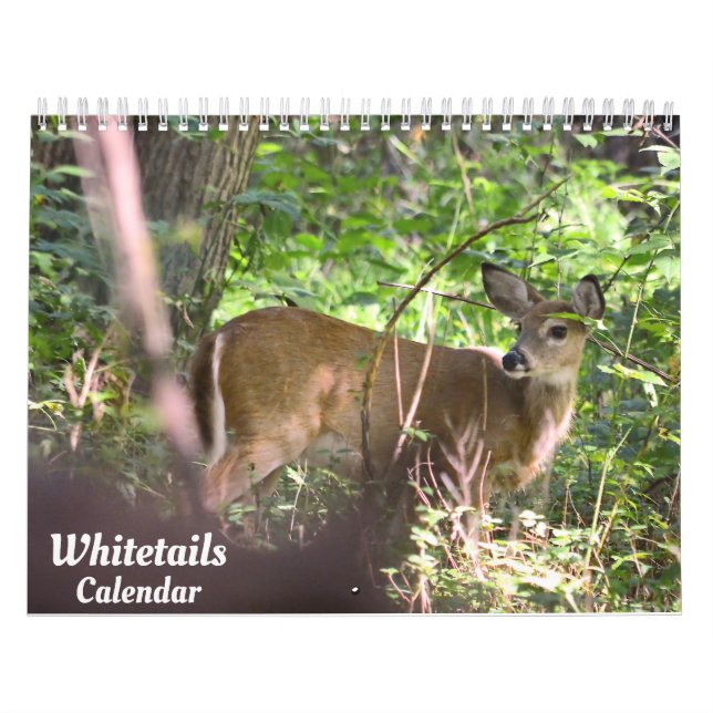 Calendrier des cerfs blancs (Protection)