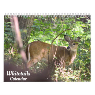 Calendrier des cerfs blancs