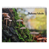 Calendrier des champignons