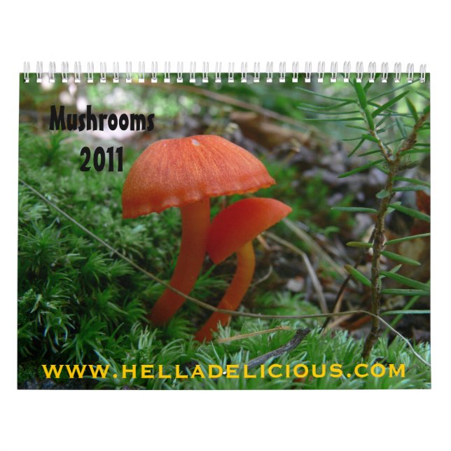 Calendrier des champignons (Protection)