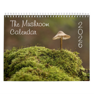 Calendrier des champignons pour 2025 Belles photos