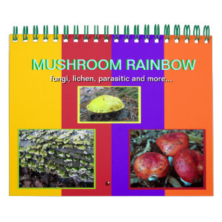 Calendrier des champignons Rainbow 2012