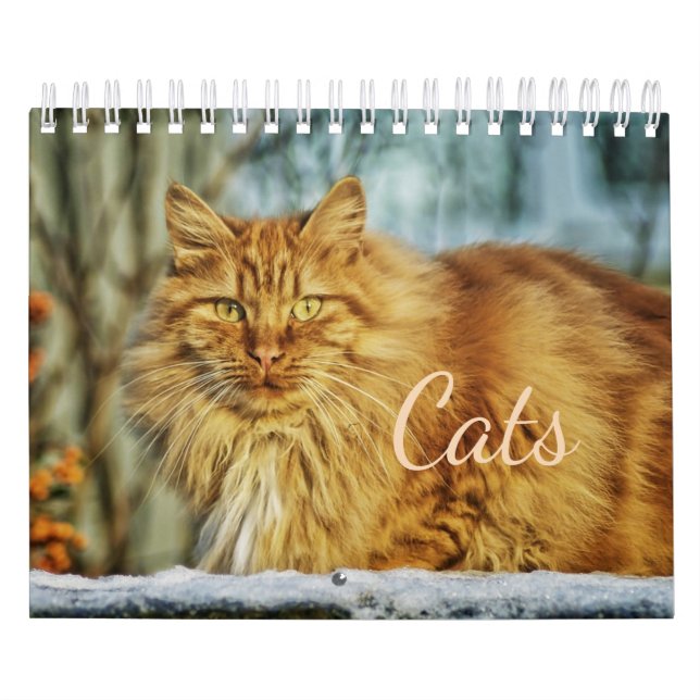 Calendrier des chats (Protection)