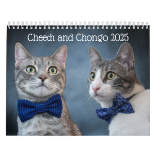 Calendrier des chats
