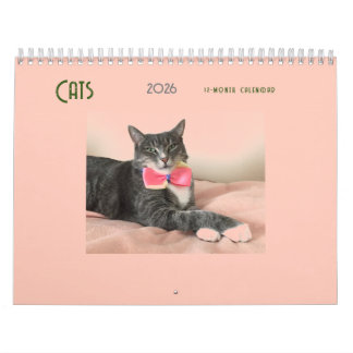 Calendrier des chats 2025