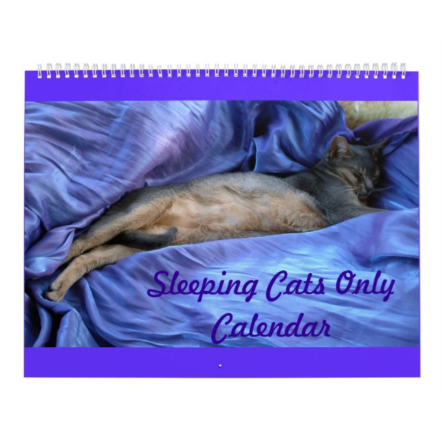 Calendrier des chats abyssiniques dormant - Extra  (Protection)