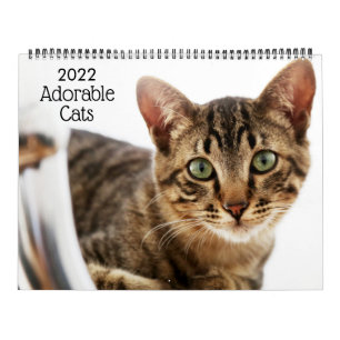 Calendrier des chats adorables 2022