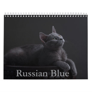Calendrier des chats bleus russes