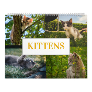Calendrier des chats Calendrier Feline Accueil Mur