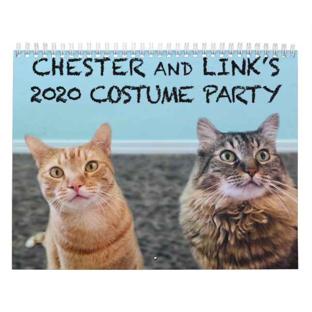 Calendrier des chats en costumes 2020 (Protection)