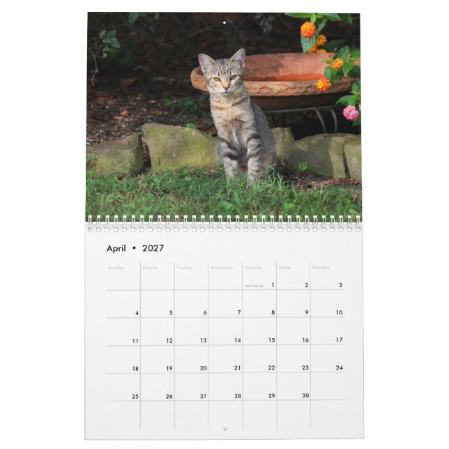 Calendrier des chats Kitty (Apr 2027)