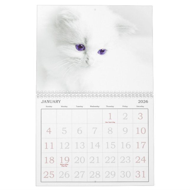 Calendrier des chats mignons (Jan 2026)