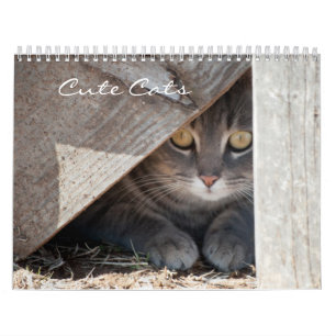 Calendrier des chats mignons
