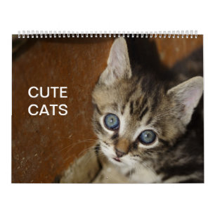 Calendrier des chats mignons