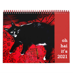 Calendrier des chats Oh Hai