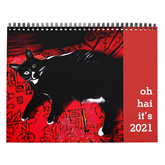 Calendrier des chats Oh Hai (Protection)
