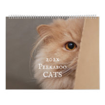 Calendrier des chats Peekaboo