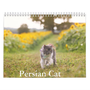 Calendrier des chats persans