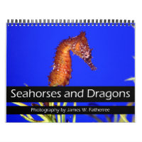 Calendrier des chevaux de mer et des dragons