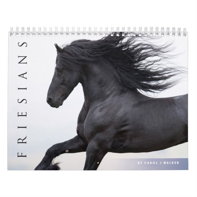 Calendrier des chevaux friésiens (Protection)