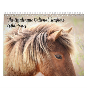 Calendrier des chevaux sauvages d'Assateague
