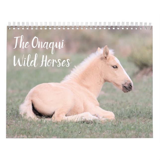 Calendrier des Chevaux sauvages d'Onaqui (Protection)