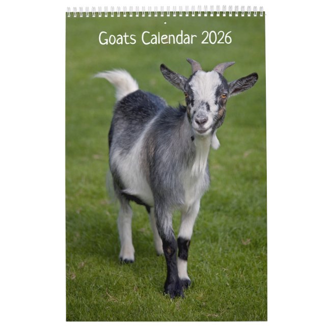 Calendrier des chèvres (Protection)