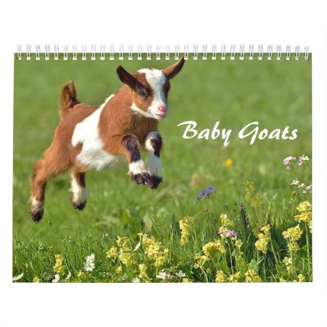 Calendrier des chèvres adorables pour bébés (Protection)