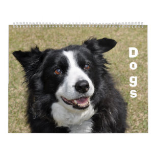 Calendrier des chiens