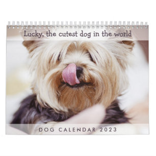 Calendrier des chiens 2023 Ajouter vos photos mign