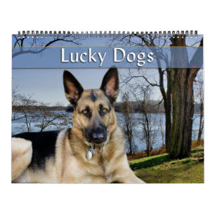 Calendrier des Chiens chanceux berger allemand et 