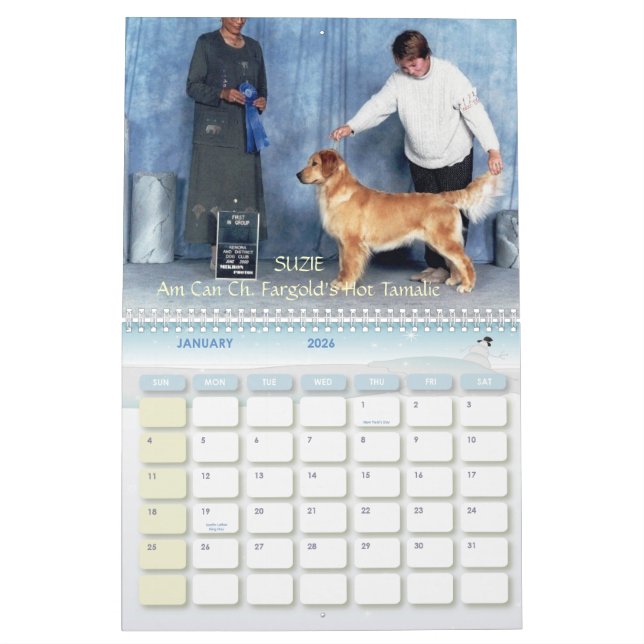 Calendrier des chiens d'arrêt d'or 2007 de JBG (Jan 2026)
