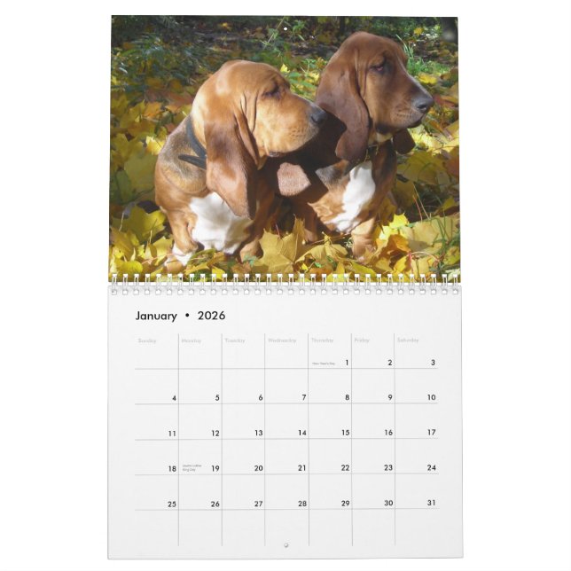 Calendrier des chiens de basset 2012 (Jan 2026)