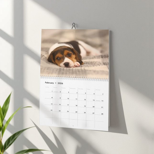 Calendrier des chiens de chien de chien de chien e (Créateur téléchargé)