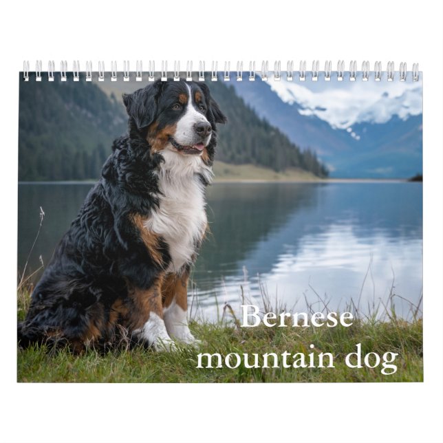 Calendrier des chiens de montagne bernois (Protection)