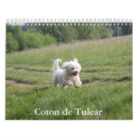 Calendrier des Chiens de Tulée