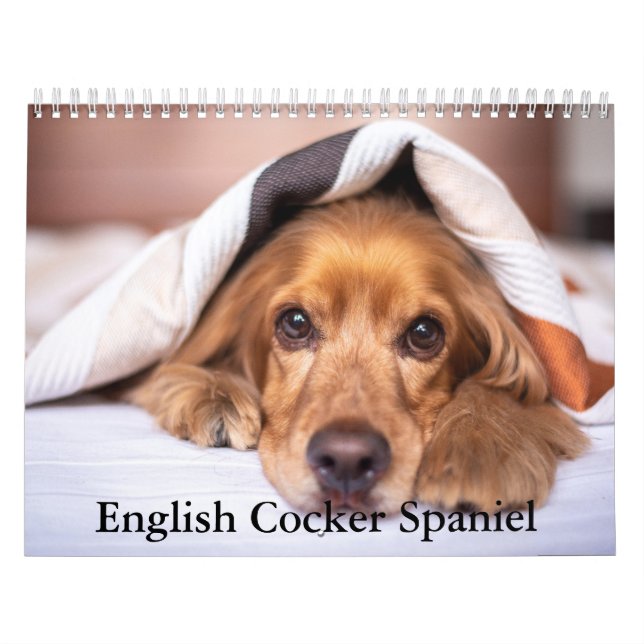 Calendrier des Chiens Espagnols Cocker (Protection)