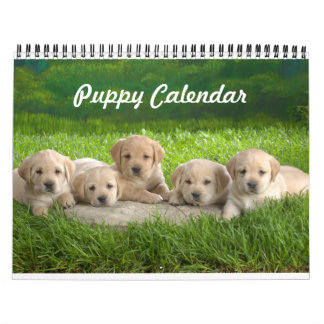 Calendrier des chiots