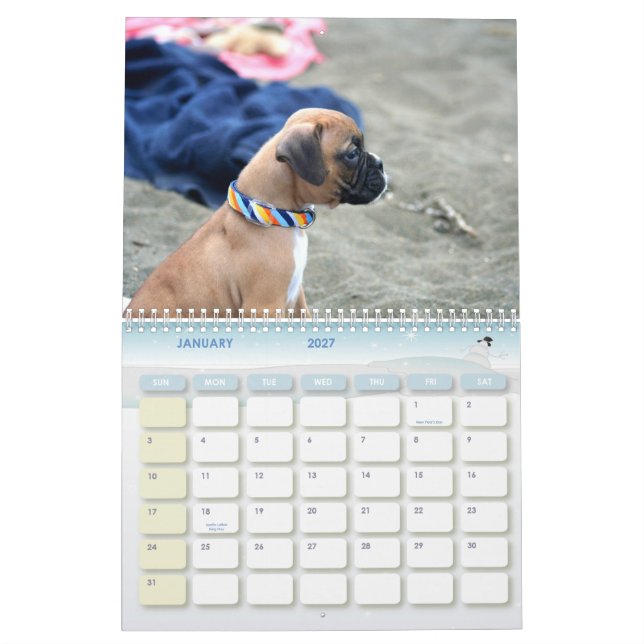 Calendrier des chiots 2012 de boxeur (Jan 2027)