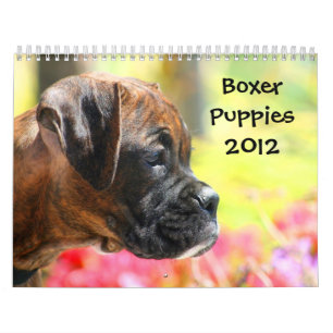 Calendrier des chiots 2012 de boxeur