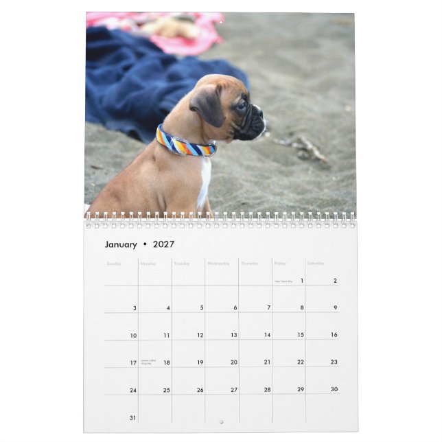 Calendrier des chiots 2013 de boxeur (Jan 2027)