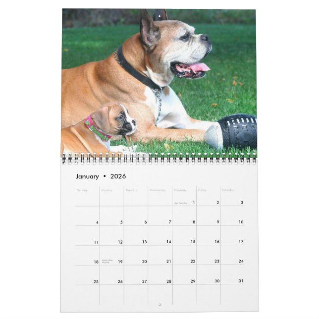 Calendrier des chiots 2015 de boxeur (Jan 2026)