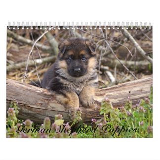Calendrier des chiots allemands 2016