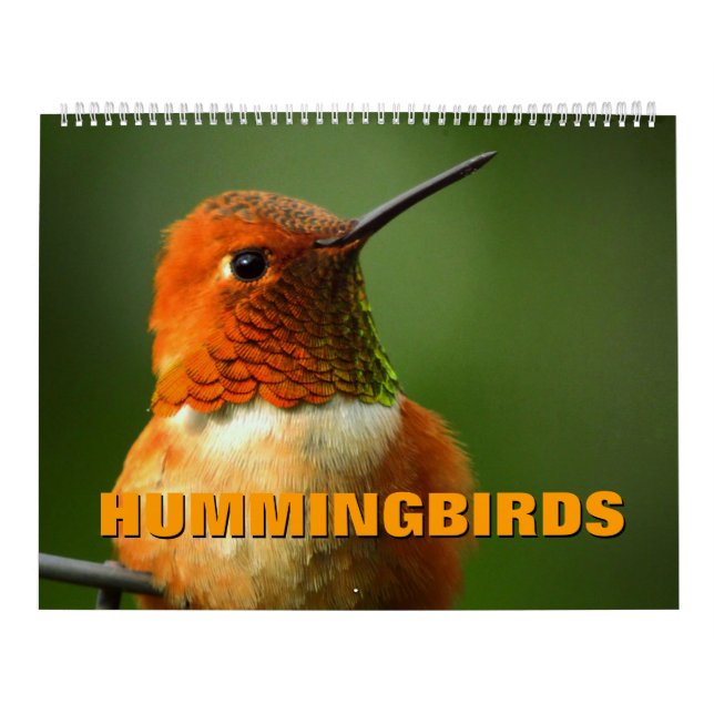 Calendrier des colibris (Protection)