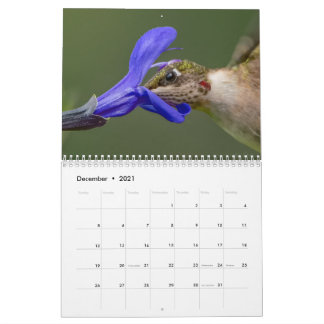 Calendrier des colibris avec des images uniques