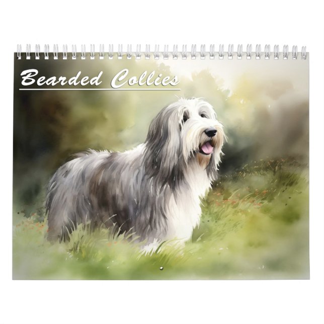 Calendrier des collies barrées, chaque année (Protection)