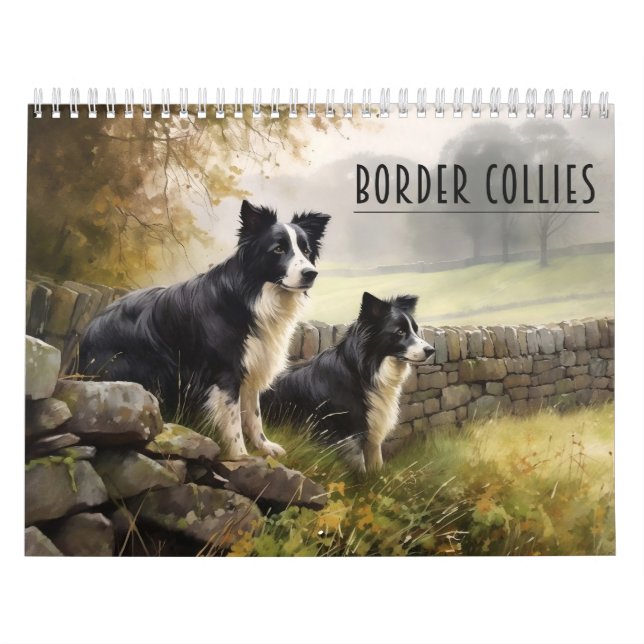 Calendrier des collies frontalières, chaque année (Protection)
