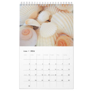 Calendrier des coquilles de mer 2024 Romantique tr